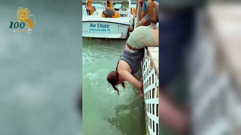 Feeding these giant Fish in Florida goes terribly wrong, quick