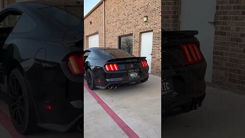 Shelby GT350 Straight Pipes Volume Up!