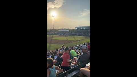Taking In A Charleston Riverdogs Baseball Game