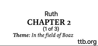 Ruth Chapter 2 (Bible Study) (1 of 3)