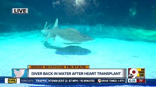 Scuba diver to return to water after heart transplant