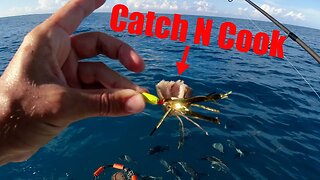 SOLO fishing trip on the reef | Catch and Cook