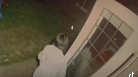 Fairy caught on Door Cam