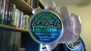 The Skoal Wintergreen X~tra Review