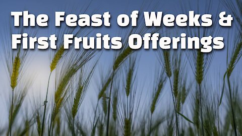 The Offering of the First Fruits and the Feast of Weeks