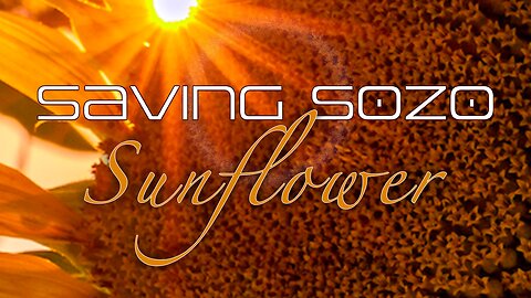 Sunflower - Saving Sozo
