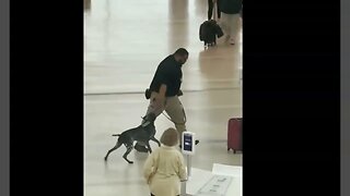 Dick The Dog Handler Was Abusing His Dog and Being A Bully