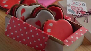 Chocolate Cookies and Royal Icing