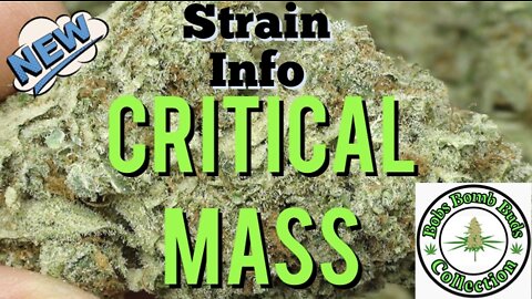 Critical Mass