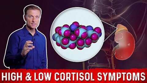 Low vs. High Cortisol Levels Symptoms Explained By Dr.Berg