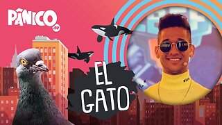 EL GATO - PÂNICO - 12/03/21