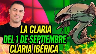 🐠 La Claria del 1 de septiembre. Claria ibérica 🐟