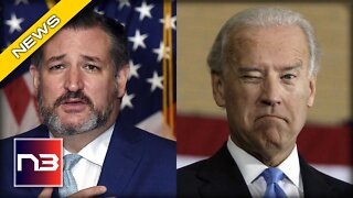 Ted Cruz Drops NUKE On Biden Egg Salad Brain