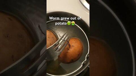 Boiled sweet potatoes and worm inside of it came out