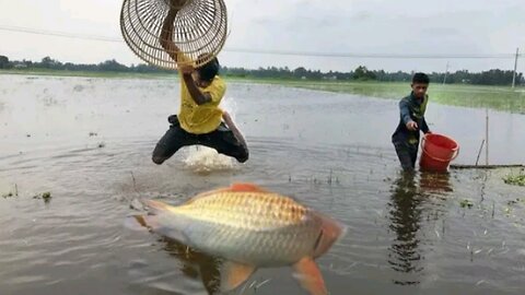 Unique fishing technique! Traditional boys catching big fish by polo 😱