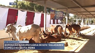 52ª Expoagro: Exposição Agropecuária de Gov. Valadares Começa na Sexta-feira.
