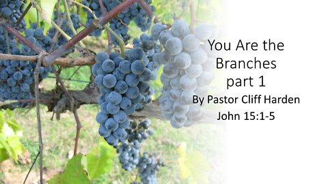 "You Are the Branches part 1" by Pastor Cliff Harden