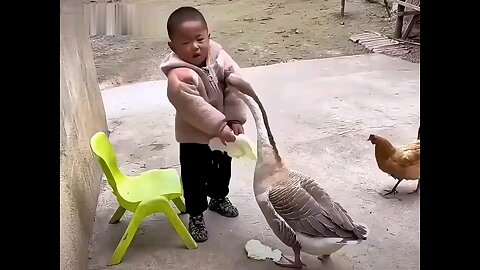duck and human fight 💪 #funnyvideo 😅