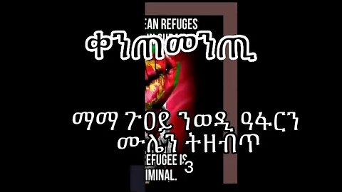 3 - ማማ ጉዐይ ንወዲ ዓፋርን ሙሌን ትዘብጥ