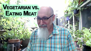 Vegetarian vs. Eating Meat: Best Argument I’ve Heard in Support of Eating Meat [ASMR, Vegan Diet]