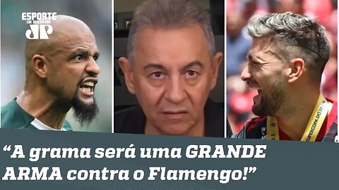 "Será QUASE IMPOSSÍVEL bater o Palmeiras nessa grama sintética!", dispara Flavio Prado