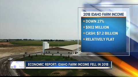 Idaho farm income declined in 2018, dairy is struggling