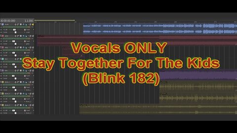 Vocals ONLY - Stay Together For The Kids (Blink 182)