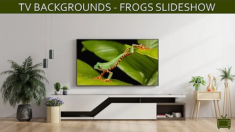 TV Background Frogs Screensaver TV Art Slideshow / No Sound