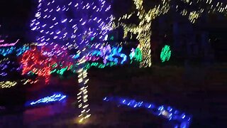 Japanese Garden At Discovery Park Of America With Christmas Lights