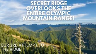 Secret Ridge Overlooking The Olympic Mountain Range