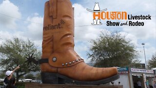 Houston Livestock Show & Rodeo had record-breaking year in 2019