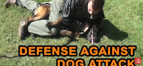 How to defend against a dog. Self defense against a dog attack. (Upload by Tyson Mpshe)