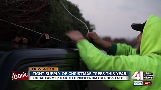 Christmas trees supply remains tight this season