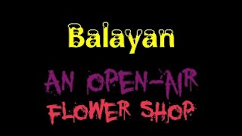 Balayan open air flower shop