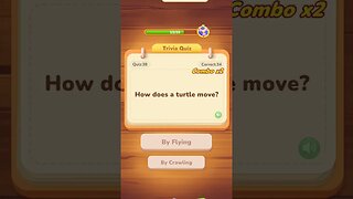 how does turtle move