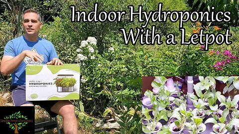 Indoor Hydroponics with a LetPot LPH-Max
