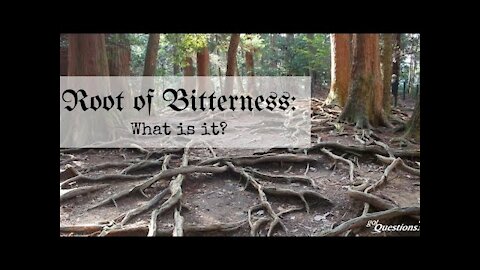 20190903 THE ROOT OF BITTERNESS