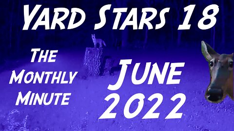 Yard Stars 18 - The Monthly Minute (June 2022)