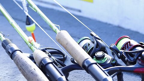 Crappie Fishing Rods and Rigs for Spring and Summer (Which should you Buy?)