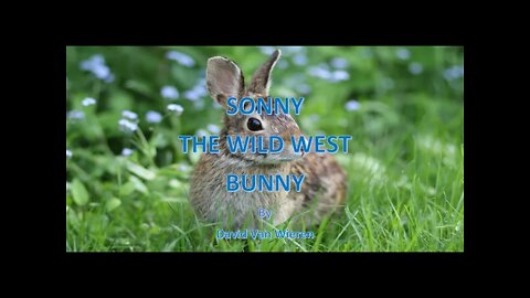 SONNY THE WILD WEST BUNNY song by David Van Wieren