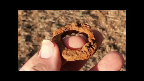Ep45 Civil War camps Union and Confederate. Amazing days of finding bullets, buttons and more Part 2 XP ORX Deus Minelab 800 Garrett ATpro Metal Detecting