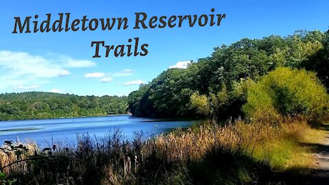 Middletown Reservoir Trails/Survey Diaries #5