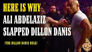 Ali Abdelaziz SLAPPED Dillon Danis & THE DILLON DANIS RULE is Established by UFC!!