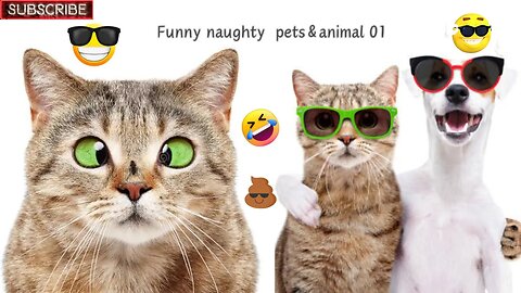 Funniest Cats And Dogs Videos 😺🐶 - Funny Animal Videos 🤣 Part 01#funnycats #funnyanimals #cutedogs