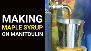 Making Maple Syrup on Manitoulin