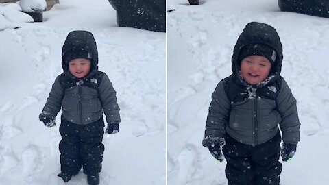 Toddler Can't Help But Laugh Every Time A Snowball Is Thrown