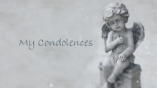 My Condolences Greeting Card 1