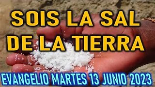 EL EVANGELIO DEL DÍA SOIS LA SAL DE LA TIERRA MARTES 13 JUNIO 2023