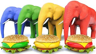 Learn Colors With Elephant Eating McDonald's Hamburger for Kids