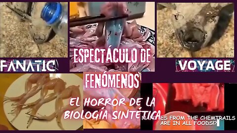 ESPECTÁCULO DE FENÓMENOS - EL HORROR DE LA BIOLOGÍA SINTÉTICA